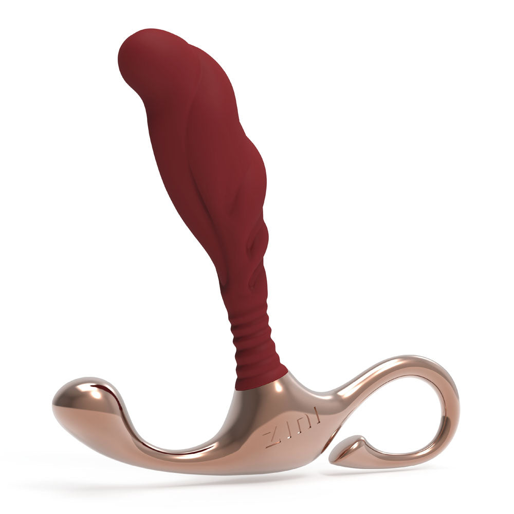 Zini Janus Lamp Iron - Medium - Red Medium Prostate Massager - Naughty by Nature Adult Store