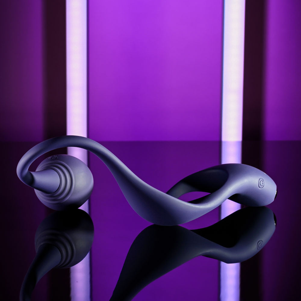 Zero Tolerance TIP TO TAIL - Blue USB Rechargeable Vibrating Butt Plug with Vibrating Cock Ring - Naughty by Nature Adult Store
