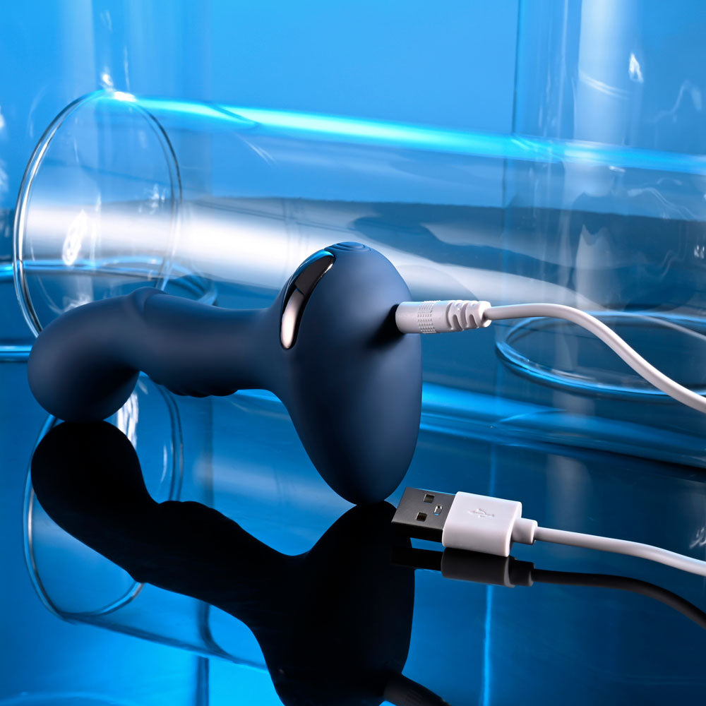 Zero Tolerance BLUE OASIS - Blue Vibrating Anal Plug - Naughty by Nature Adult Store