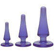 Anal Initiation Kit Purple - Adult Toys