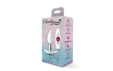 Cheeky Charms Silver Anchor Butt Plug w Clear and Teal Jewel Kit - Naughty by Nature Adult Store