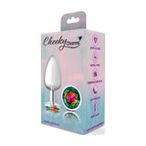 Cheeky Charms Silver Round Butt Plug w Rainbow Jewel Large - Adult Toys