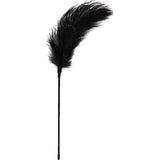 Fetish Collection Black Feather Tickler – Intimate BDSM Tease Toy - Adult Toys