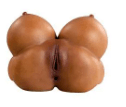 Muse II Breast Sex Toy with Vagina Tunnel Silicone - Sex Doll - Naughty by Nature Adult Store