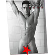 Real Cocks Wall Calendar 2026 - Naughty by Nature Adult Store