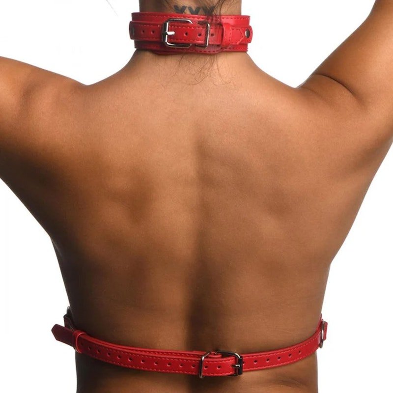 Red Female Chest Harness S/M - Adult Toys