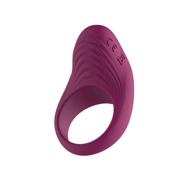 Silicone Vibrating Cock Ring USB Rechargeable Purple - COCK RINGS