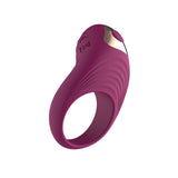Silicone Vibrating Cock Ring USB Rechargeable Purple - COCK RINGS