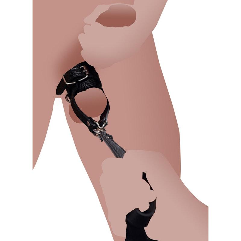 Strict Ball Stretcher With Leash - Naughty by Nature Adult Store