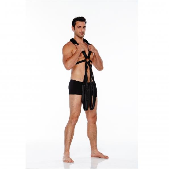 WhipSmart Body Swing - Black Body Swing Harness - SWINGS