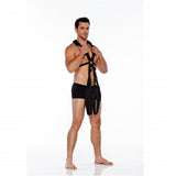 WhipSmart Body Swing - Black Body Swing Harness - SWINGS