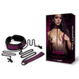 WhipSmart Dragons Lair Collar, Leash & Nipple Clips Set - Purple/Black Restraints - BONDAGE - TOYS