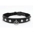 Bling Vixen Leather Choker w Clear Rhinestones - Adult Toys