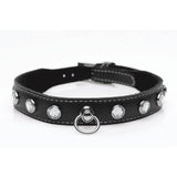 Bling Vixen Leather Choker w Clear Rhinestones - Adult Toys