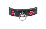 Bling Vixen Leather Choker w Red Rhinestones - Adult Toys