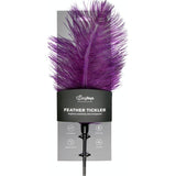 Feather Tickler Purple - Naughty by Nature Adult Store
