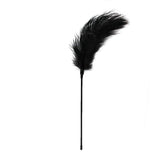 Fetish Collection Black Feather Tickler – Intimate BDSM Tease Toy - Adult Toys