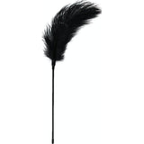 Fetish Collection Black Feather Tickler – Intimate BDSM Tease Toy - Adult Toys