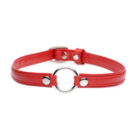 Fiery Pet Leather Choker w Silver Ring Red - Adult Toys