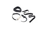 Puppy Play Set incl Gag, Plug and Collar Black - Adult Toys